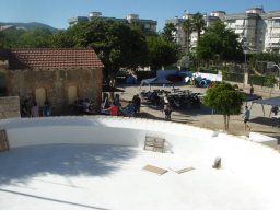 DSC05556